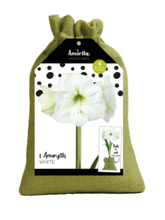 Amorita Bag Lovely white