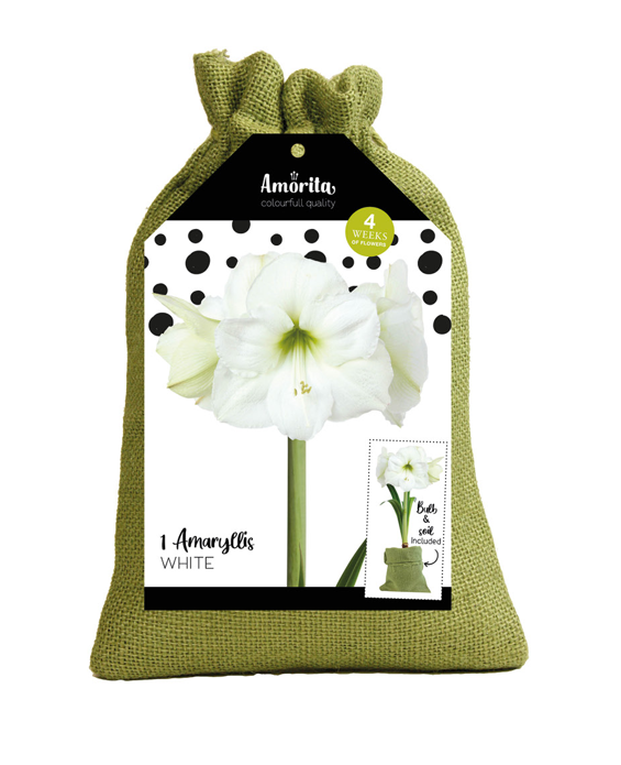 Amorita Bag Lovely white