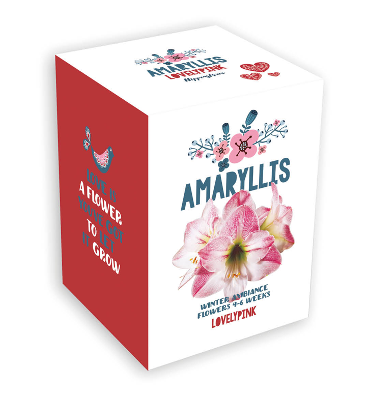 Jul Kit Lovely pink