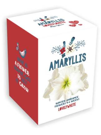 Jul Kit Lovely white