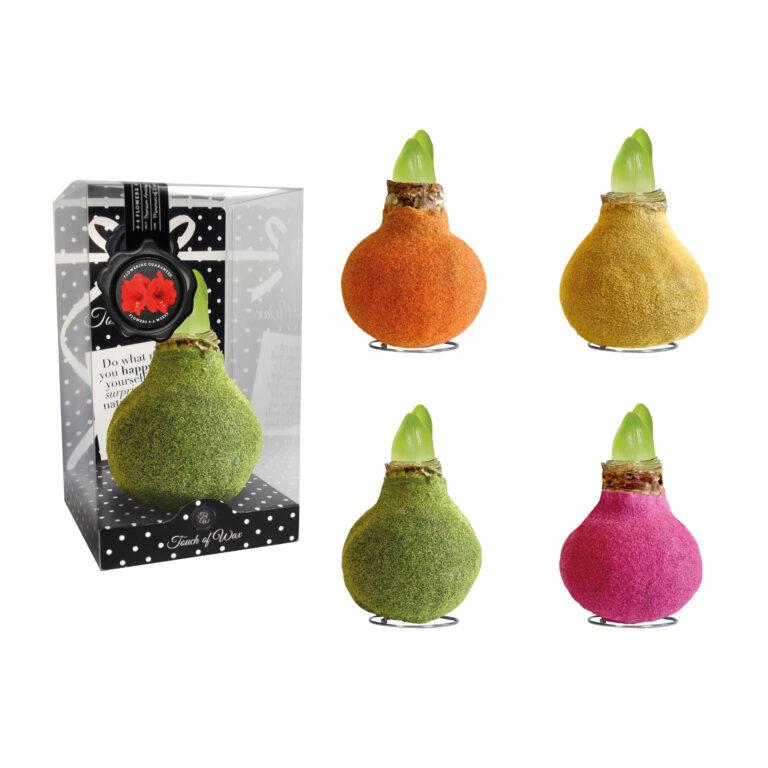 FA-02 Fashion mixed in PET gift box