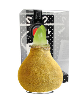 FA-02 Fashion gold in PET gift box