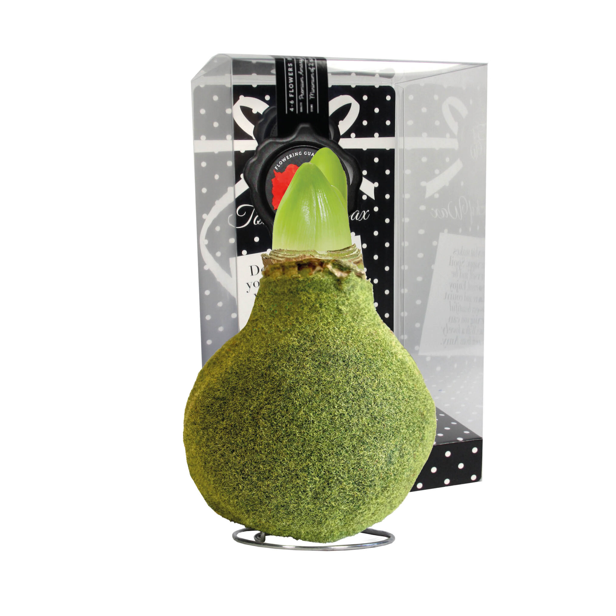 FA-02 Fashion moss Green in PET gift box