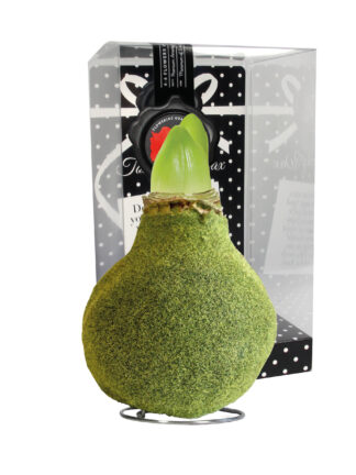 FA-02 Fashion moss Green in PET gift box