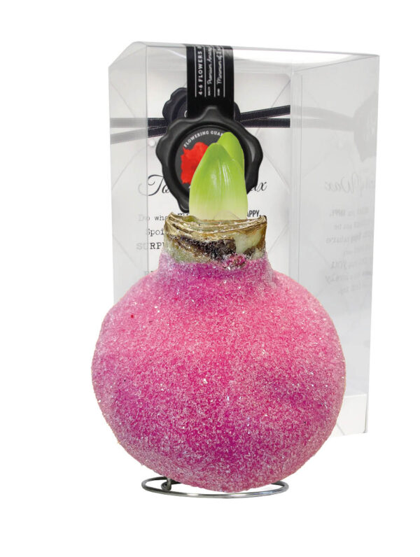 GA-01 Glamour pink in PET gift box