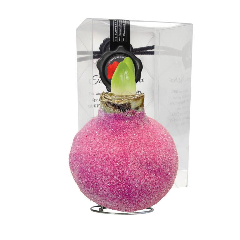 GA-01 Glamour pink in PET gift box