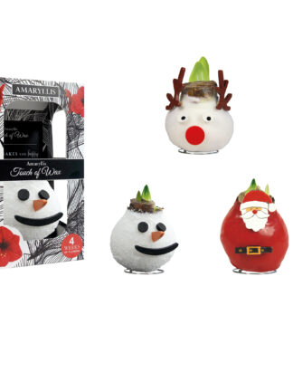 SE-14 Snowman/Reindeer/Santa Claus mixed in carton gift box