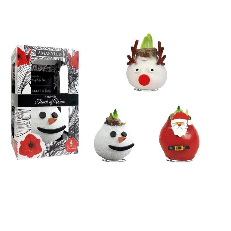 SE-14 Snowman/Reindeer/Santa Claus mixed in carton gift box