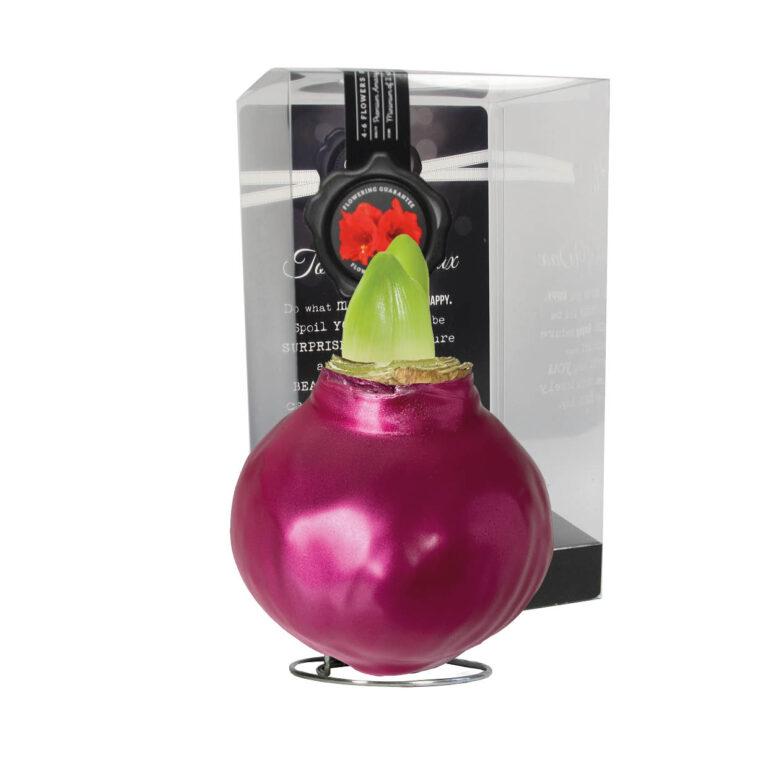 ME-01 Metallic cerise in PET gift box