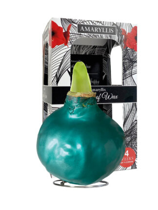 ME-01 Metallic seagreen in carton gift box