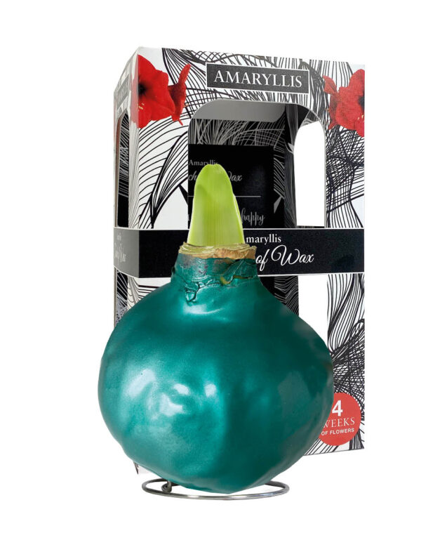 ME-01 Metallic seagreen in carton gift box