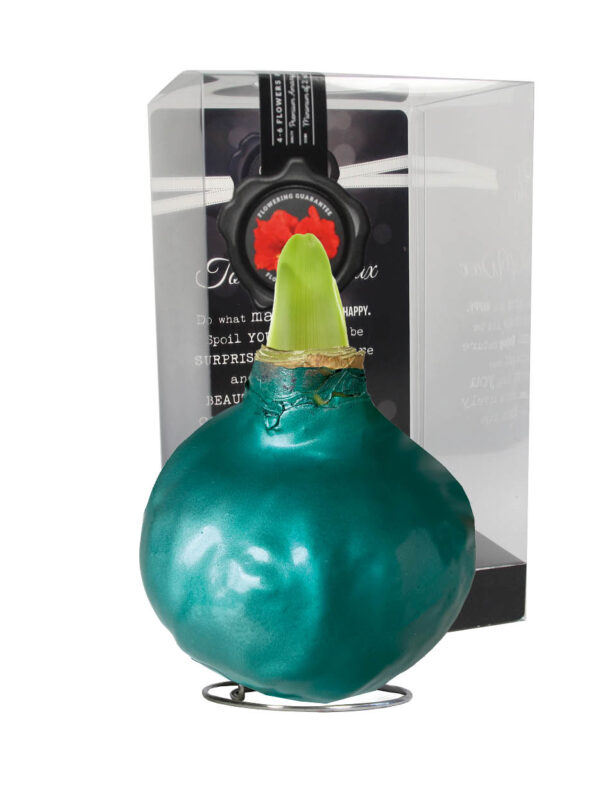 ME-01 Metallic seagreen in PET gift box