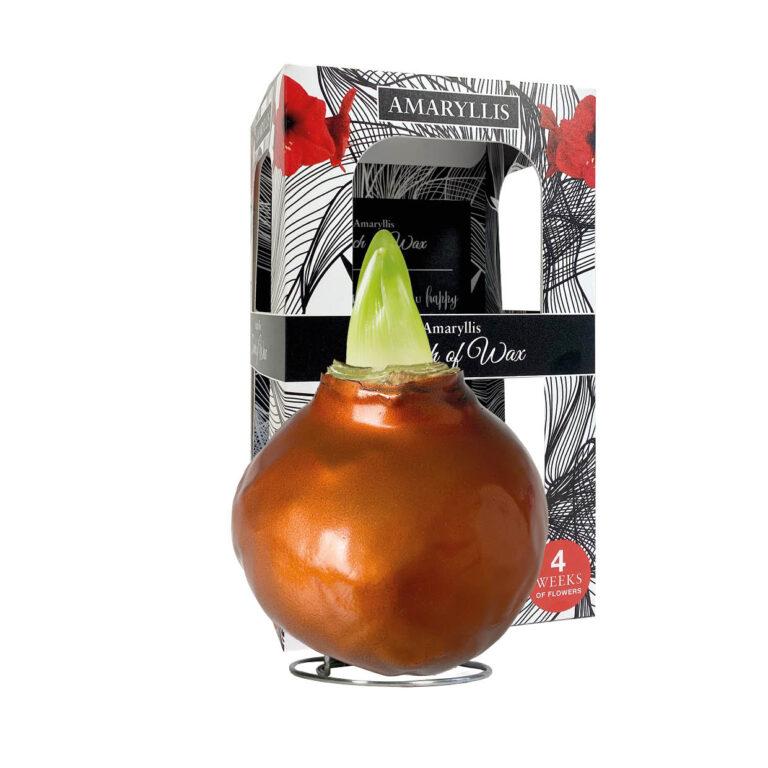 ME-01 Metallic copper in carton gift box