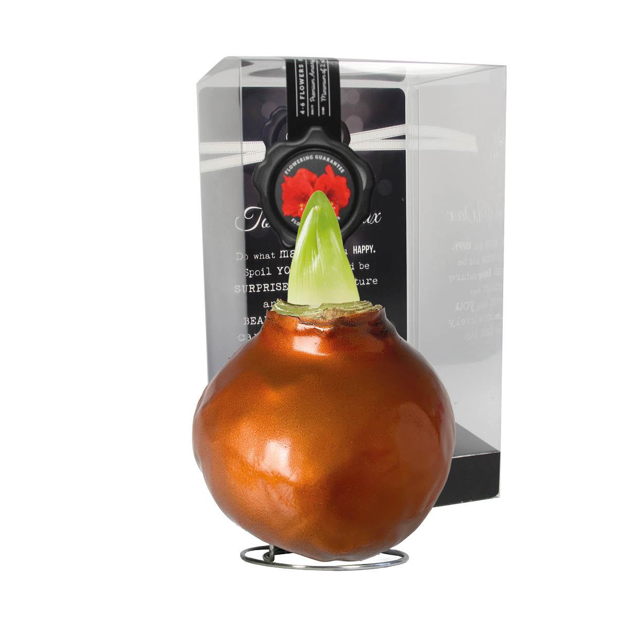 ME-01 Metallic copper in PET gift box