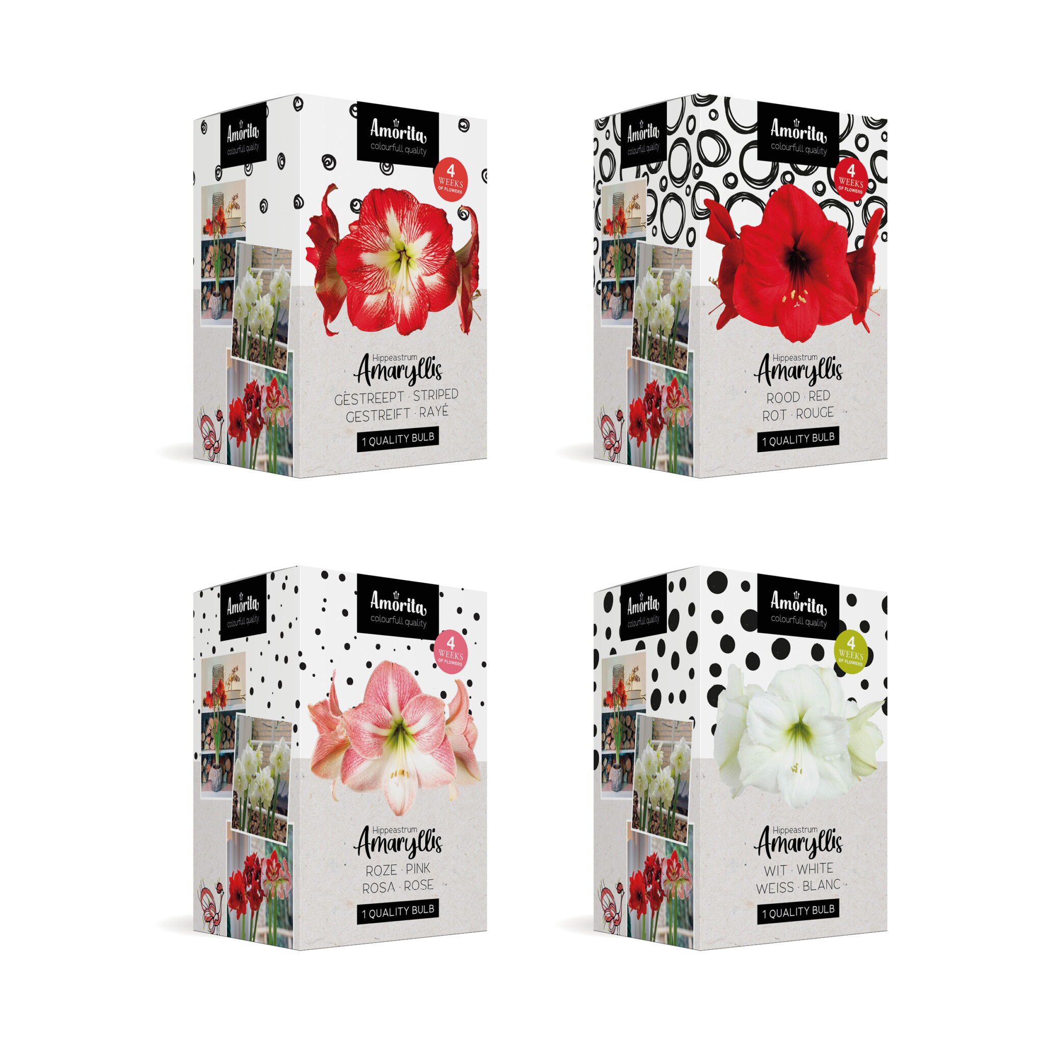 Amorita Box Mix Assortment