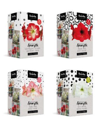 Amorita Box Mix Assortment