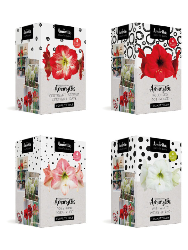 Amorita Box Mix Assortment