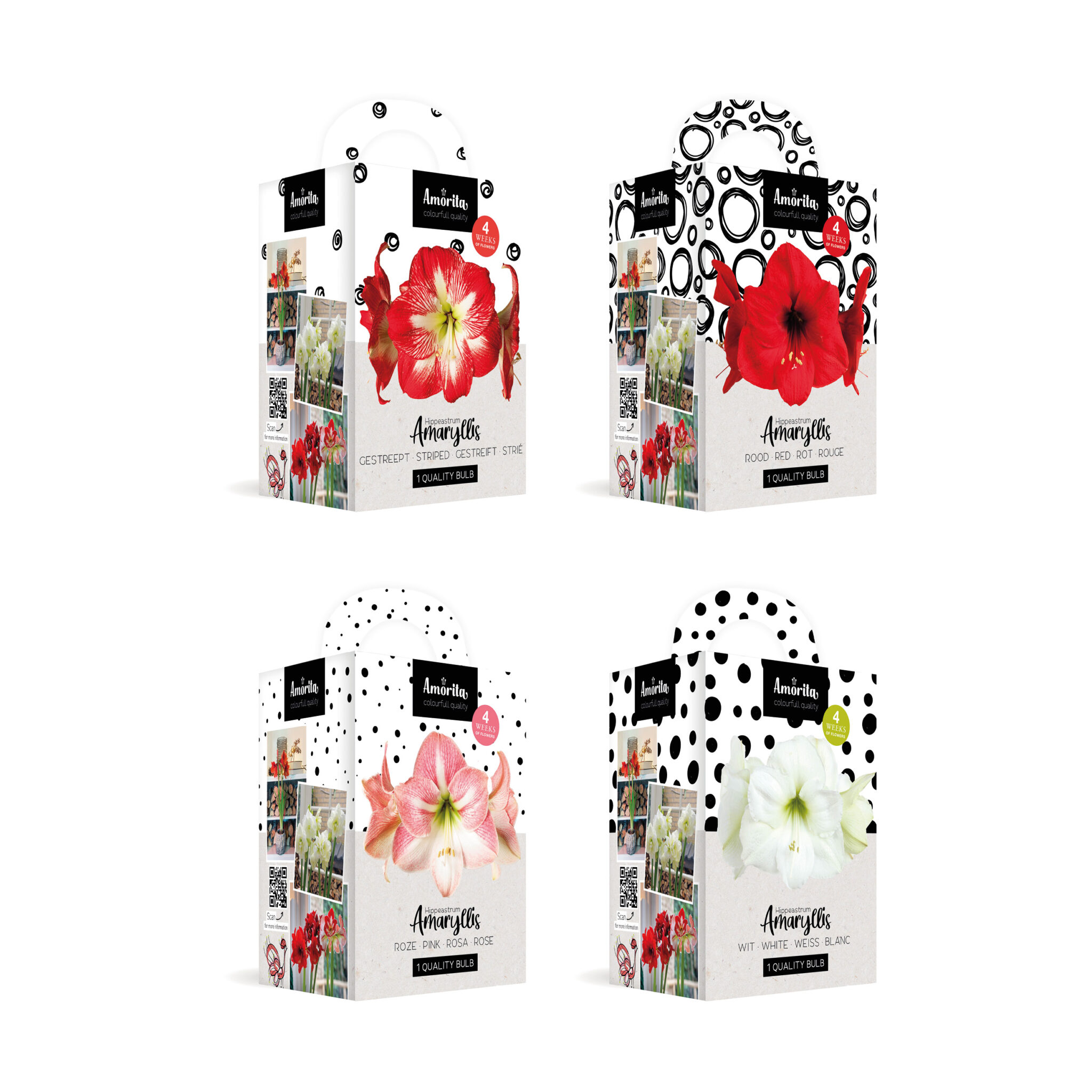 Amorita Kit Mix Assortment