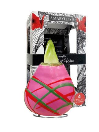 AR-01 Art pink in carton gift box