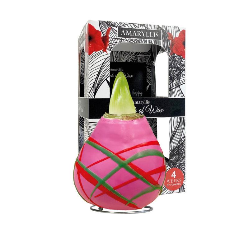 AR-01 Art pink in carton gift box