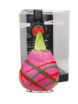 AR-01 Art pink in PET gift box