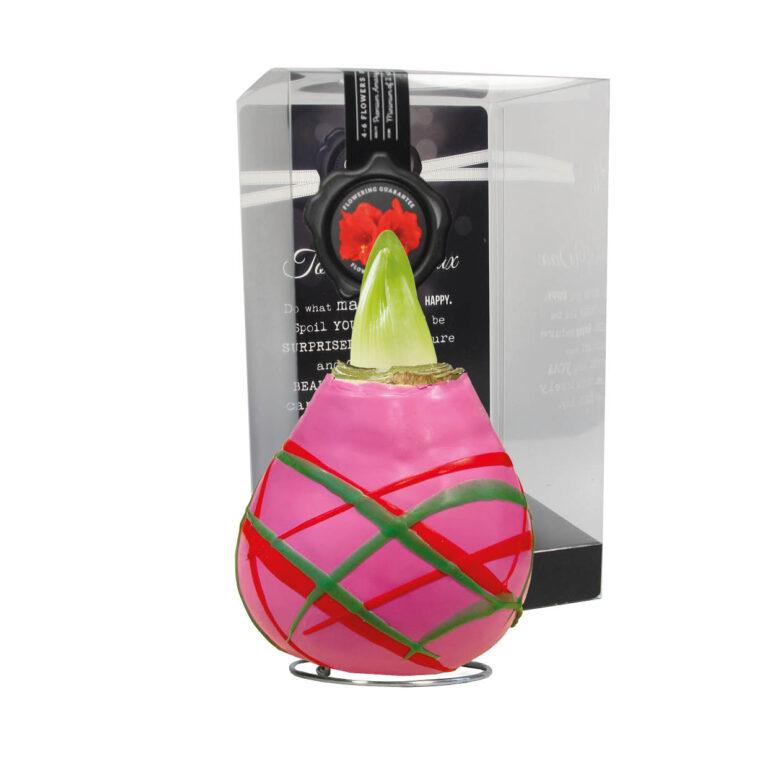 AR-01 Art pink in PET gift box