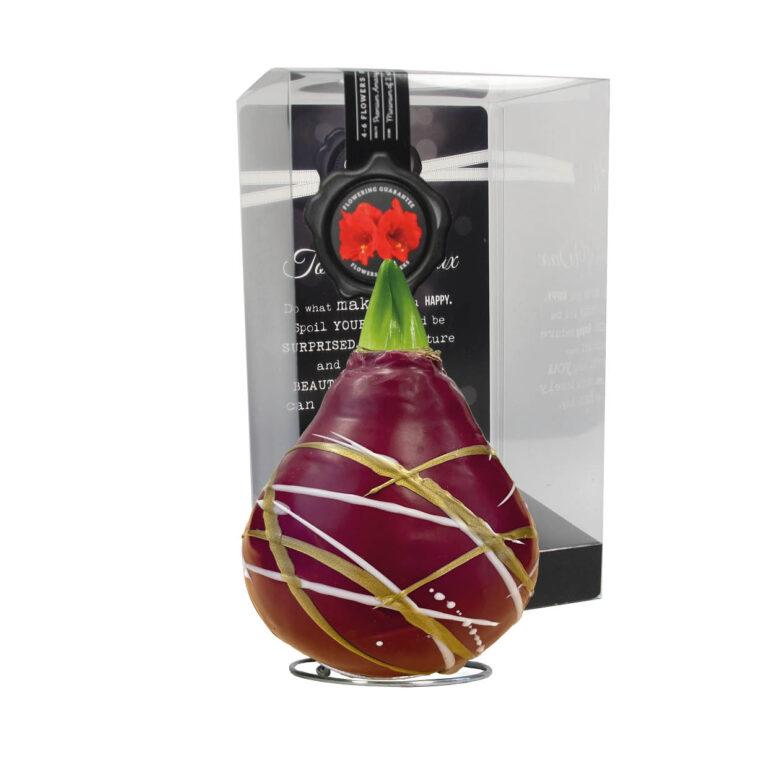 AR-01 Art red in PET gift box