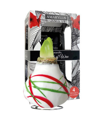 AR-01 Art white in carton gift box