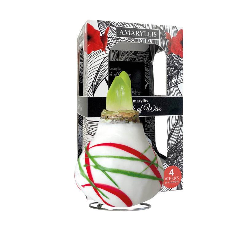 AR-01 Art white in carton gift box