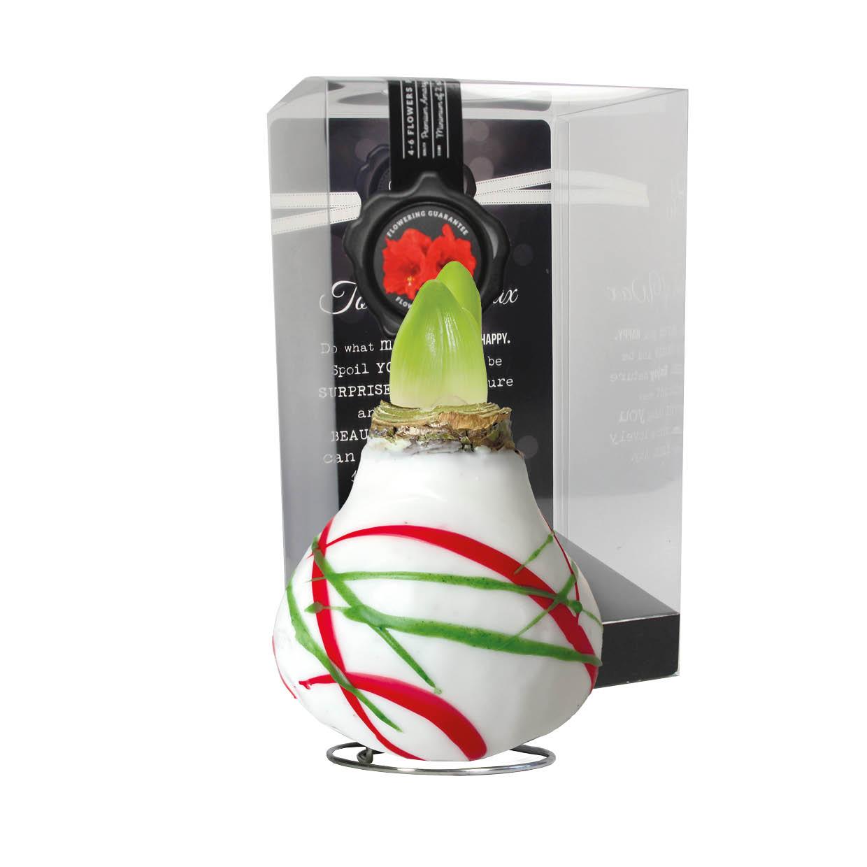 AR-01 Art white in PET gift box