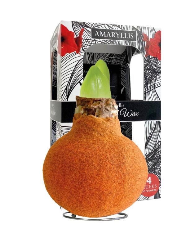 FA-02 Fashion autumn orange in carton gift box