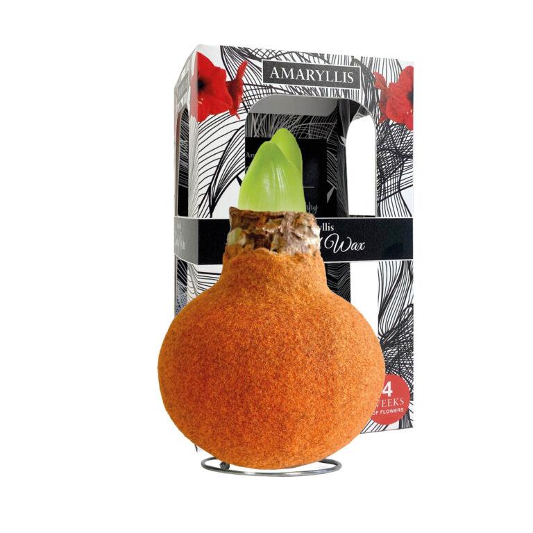FA-02 Fashion autumn orange in carton gift box