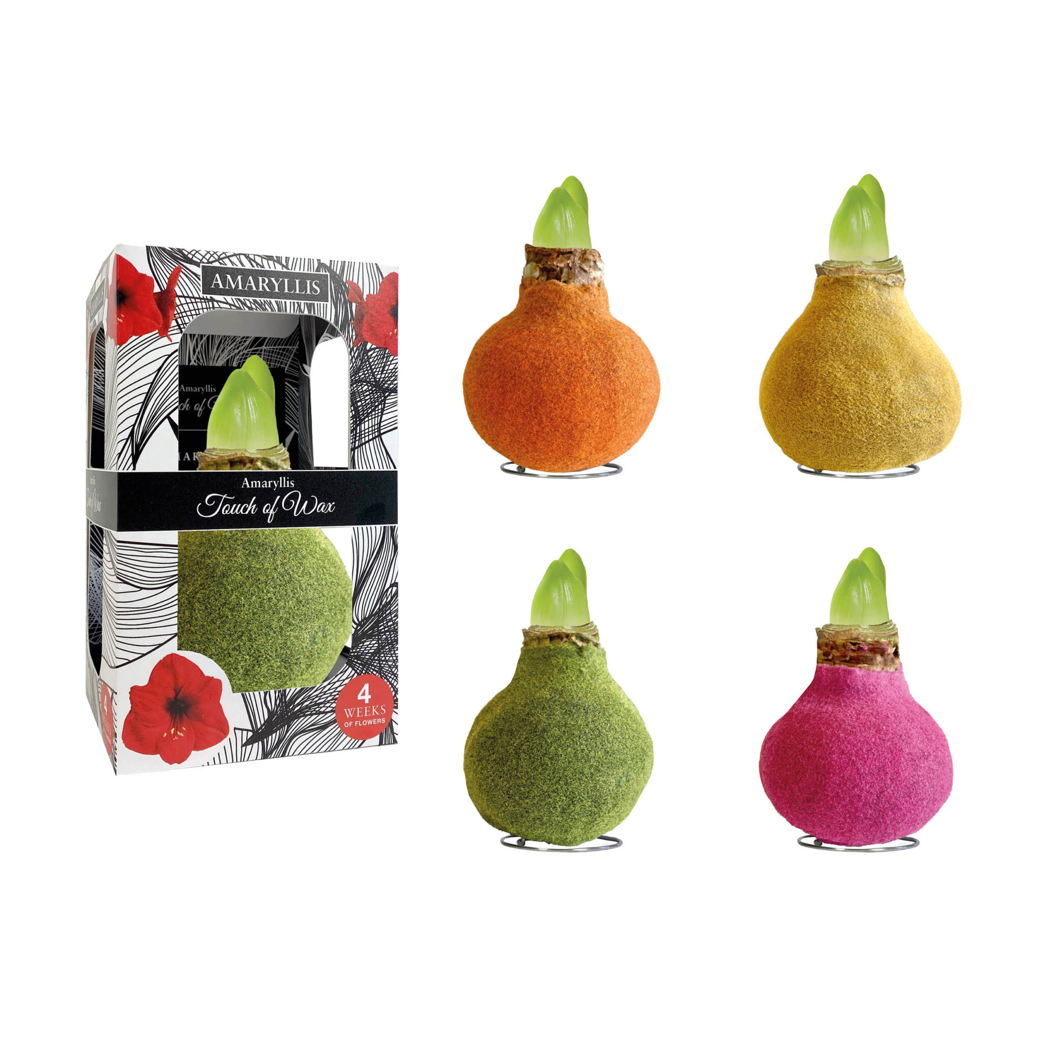 FA-02 Fashion mixed in carton gift box