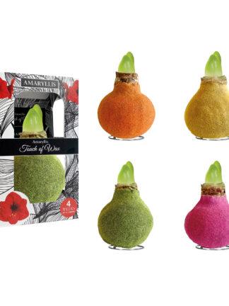 FA-02 Fashion mixed in carton gift box