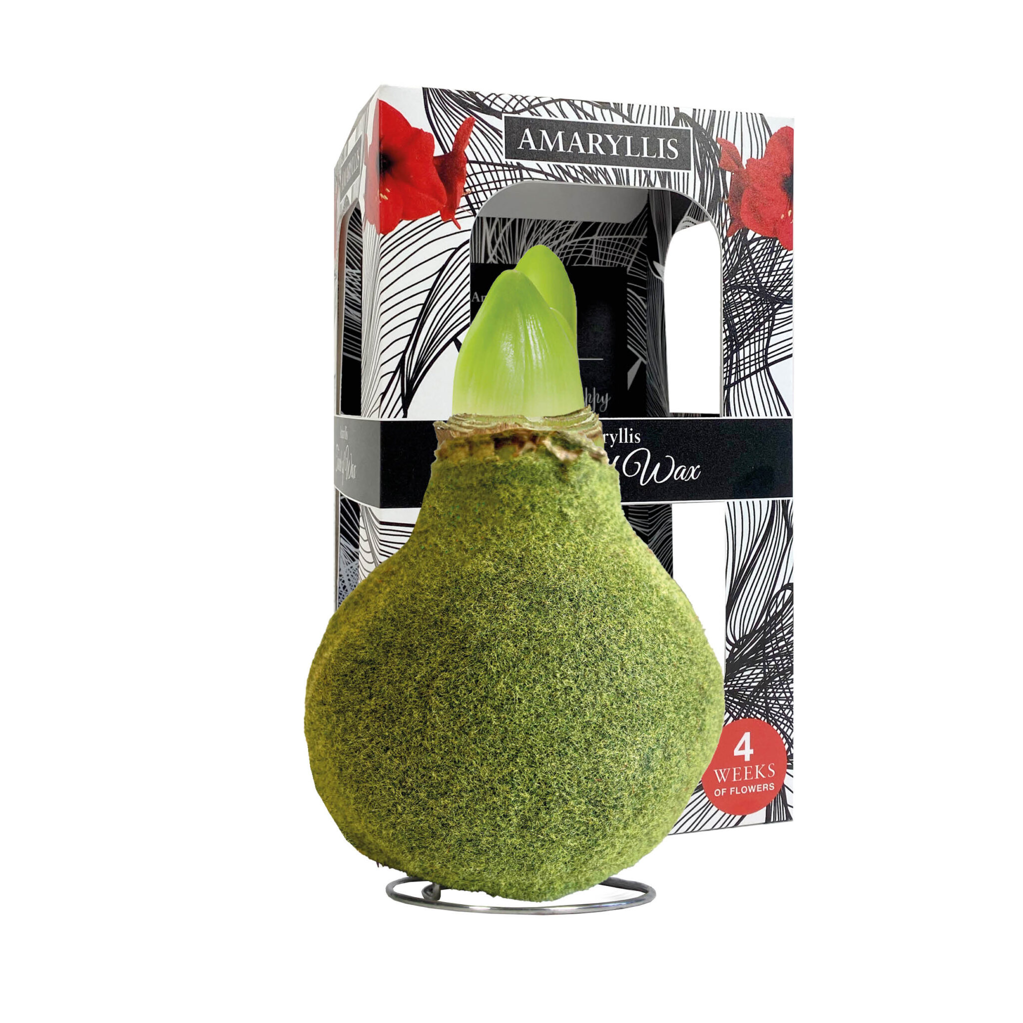 FA-02 Fashion moss Green in carton gift box