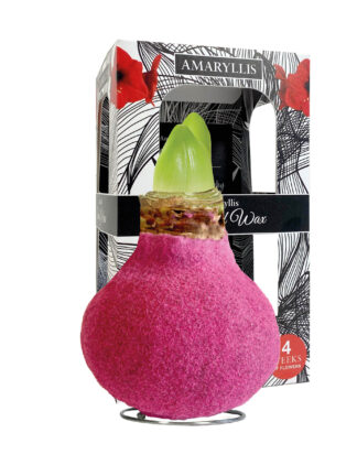 FA-02 Fashion pink in carton gift box