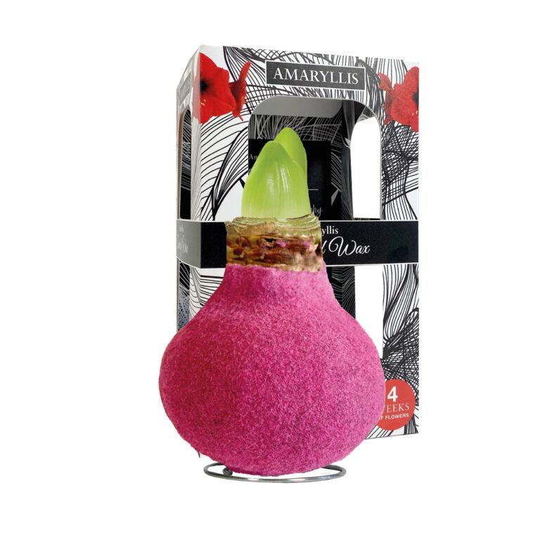 FA-02 Fashion pink in carton gift box