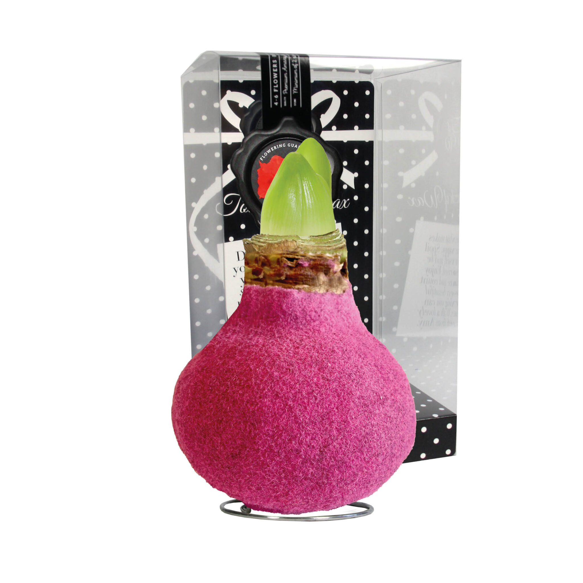 FA-02 Fashion pink in PET gift box