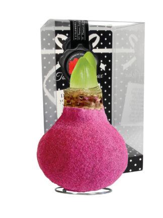 FA-02 Fashion pink in PET gift box