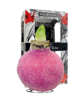 GA-01 Glamour pink in carton gift box