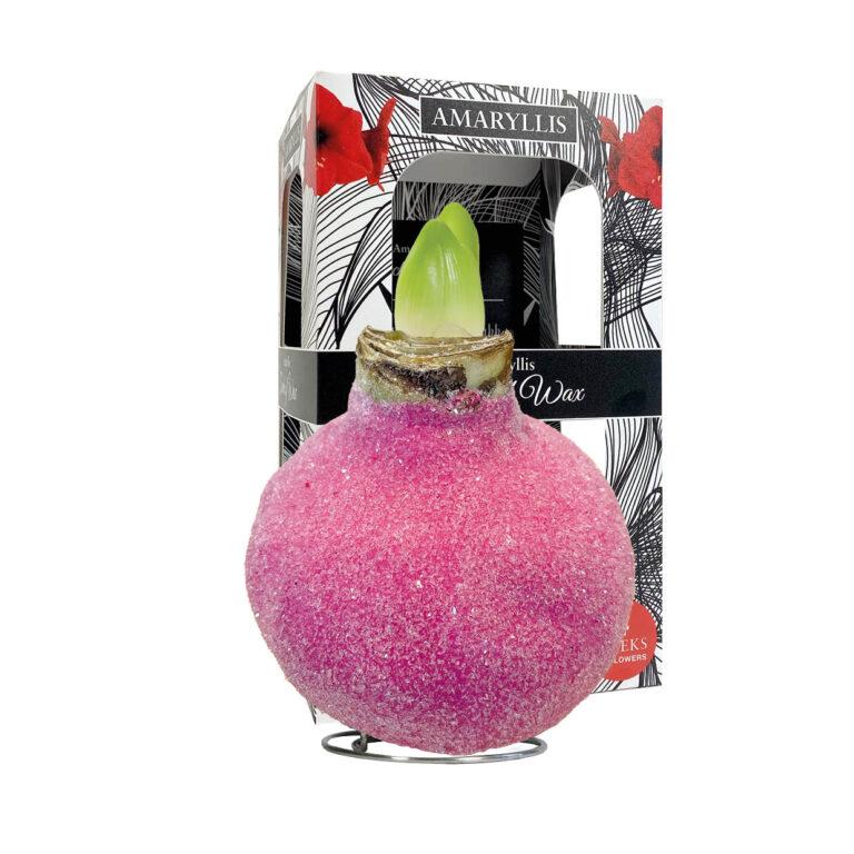 GA-01 Glamour pink in carton gift box