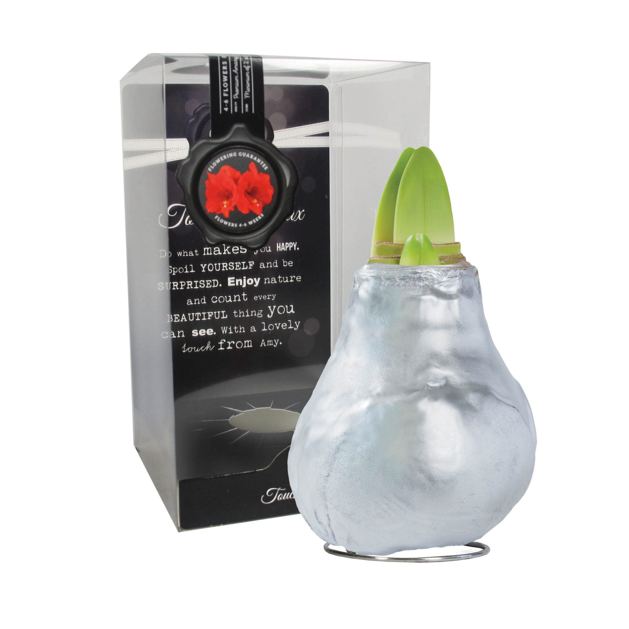 GLM-01 Gloss silver in PET gift box