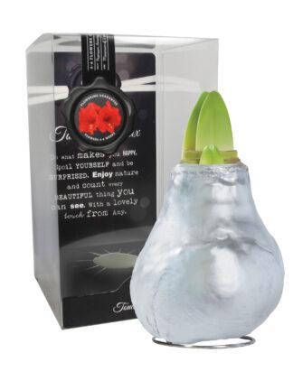 GLM-01 Gloss silver in PET gift box