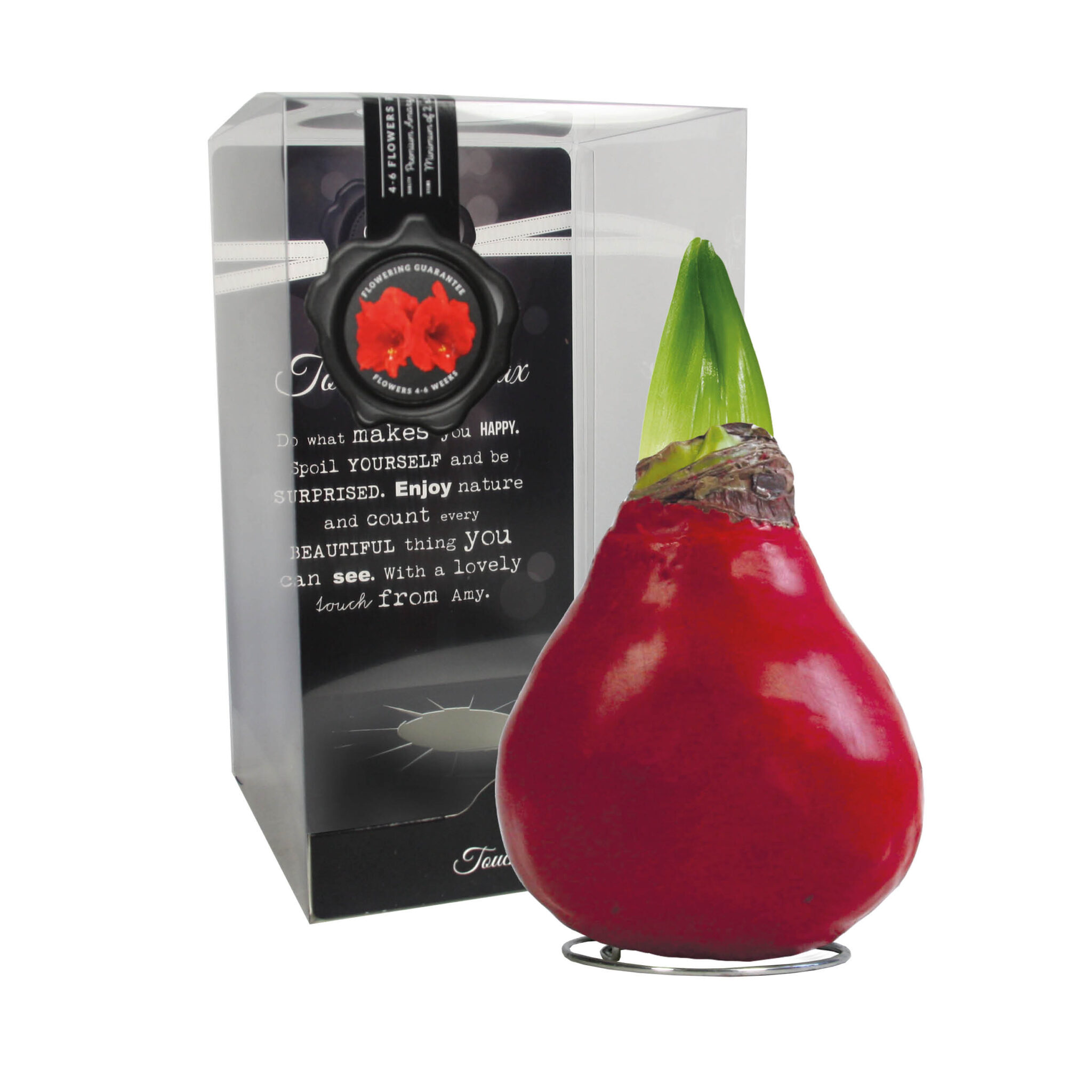 GLM-01 Gloss red(bordeaux) in PET gift box