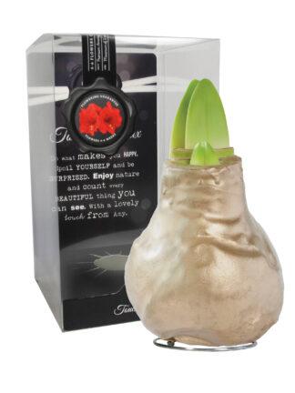 GLM-01 Gloss copper in PET gift box