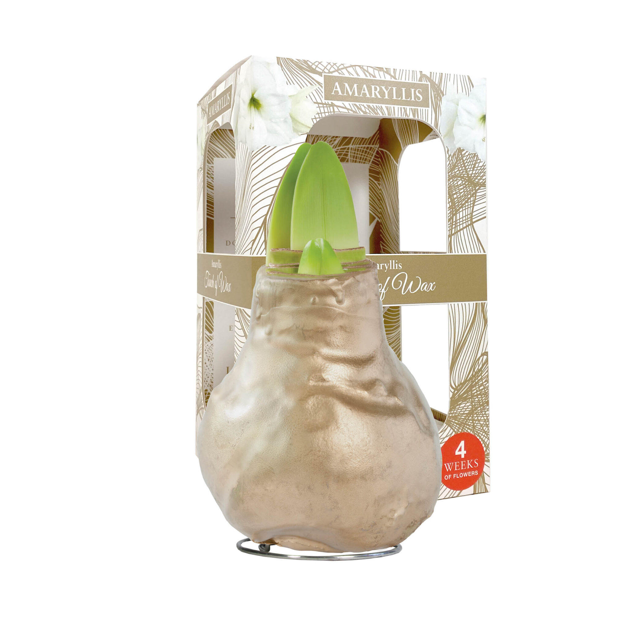 GLM-01 Gloss gold in carton gift box