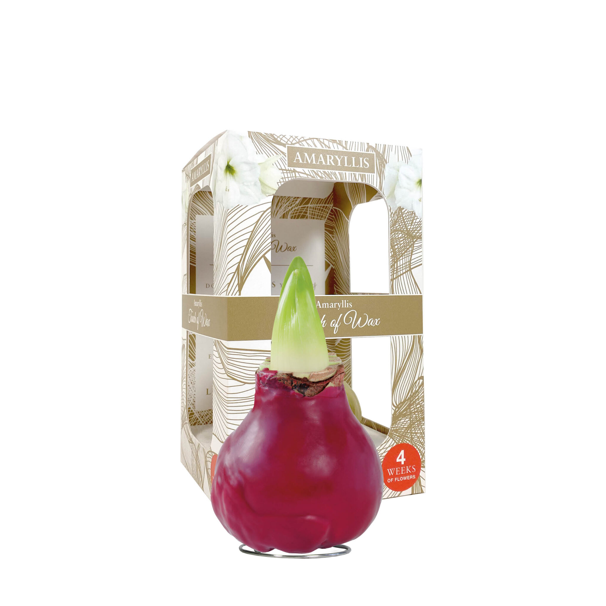 GLM-01 Gloss red(bordeaux) in carton gift box