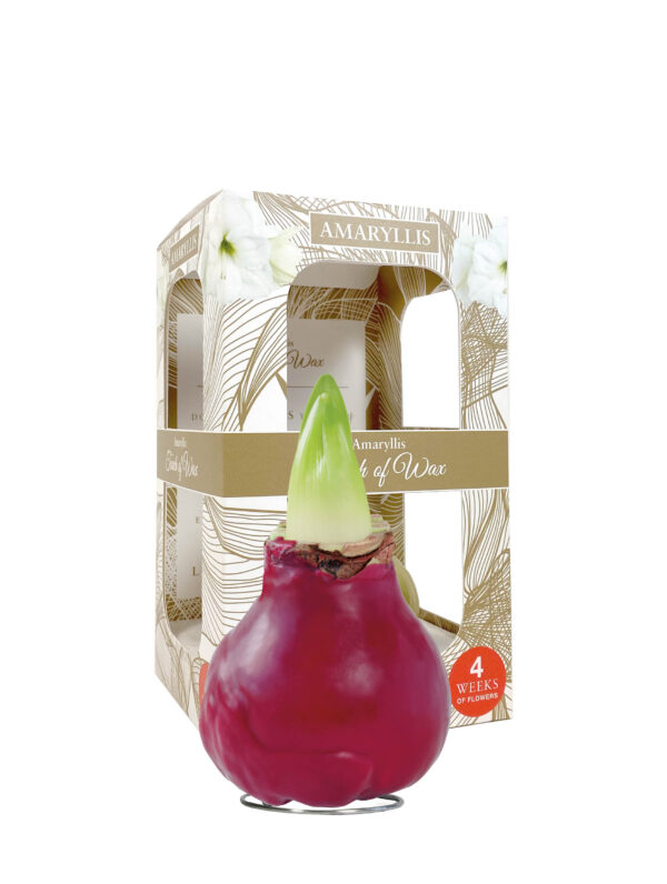 GLM-01 Gloss red(bordeaux) in carton gift box