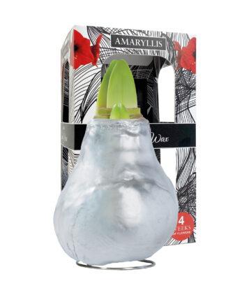 GLM-01 Gloss silver in carton gift box