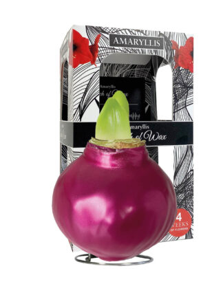 ME-01 Metallic cerise in carton gift box